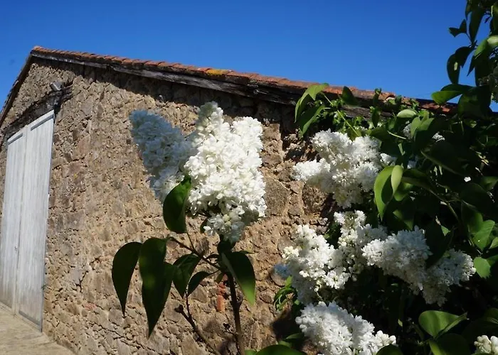 度假居 L'escale Du Bocage Piscine Couverte Chauffee *