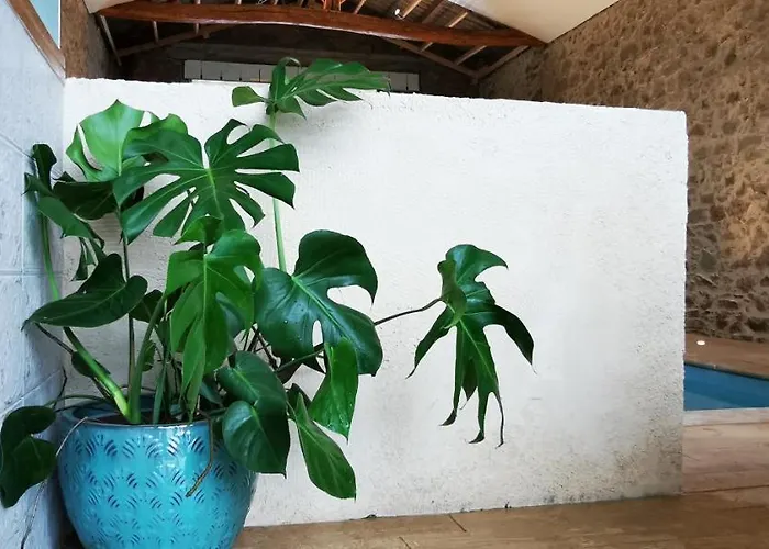 L'escale Du Bocage Piscine Couverte Chauffée